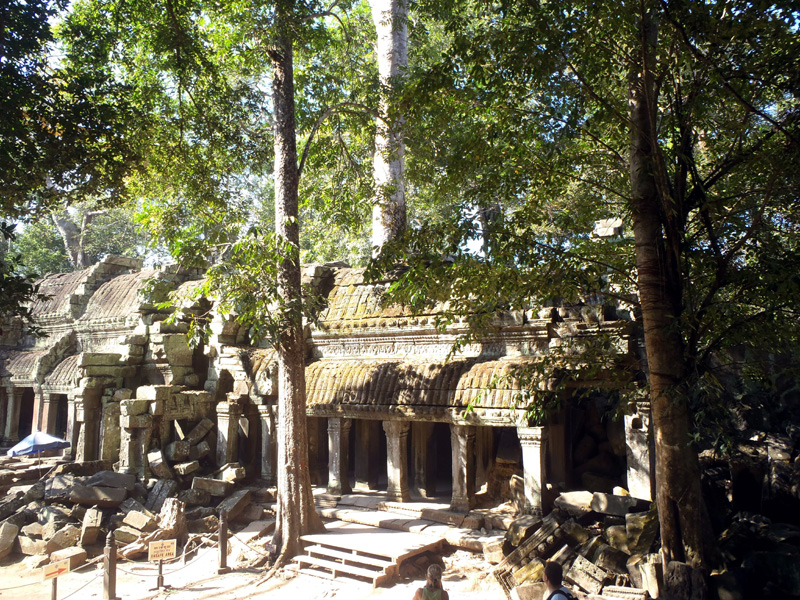 Immagine 049.jpg - OLYMPUS DIGITAL CAMERA         